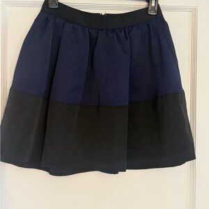 Elegant Blue and Black Women's Skirt express